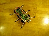 Robot Stampe 6