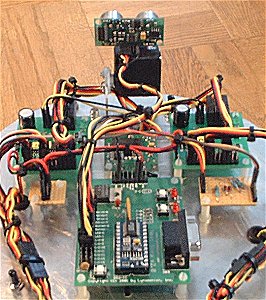 Basic Stamp robot, servo controller