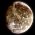 Ganymedes, måne